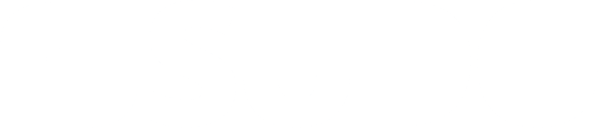 SUDO Consultants Logo